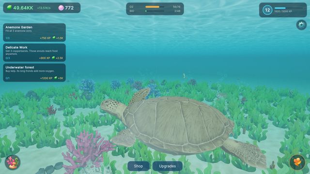 A sea turtle over a seagrass meadow