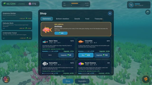 The shop with reef residents