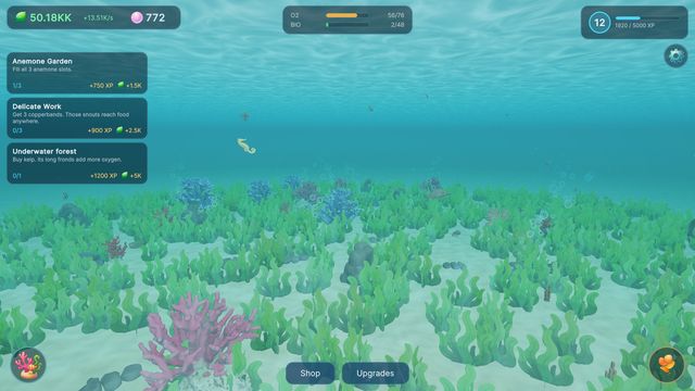 A wide view of the reef